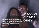 MASSIVE CICADA Americans thinking O--- they'll get a normal f------ month for once