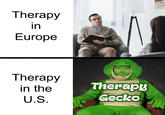 Therapy in Europe Therapy in the Therapy Gecko U.S.