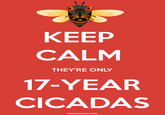 KEEP CALM THEY'RE ONLY 17-YEAR CICADAS CICADAMANIA.COM