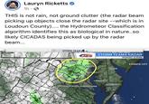 Lauryn Ricketts 1h · O THIS is not rain, not ground clutter (the radar beam picking up objects close the radar site --which is in Loudoun County)... the Hydrometeor Classification algorithm identifies this as biological in nature..so likely CICADAS being picked up by the radar beam... STORM TEAM 4 JES STORM TEAM4 RADAR MONDAY 11:41AM MORGANTOWN FROSTBURG HAGERSTOWM FREDERICK ATLANTIC CITY BALTIMORE WINCHEST R DOVER LEESBURG ELKINS PETERSBURG ANNAP LIS WASHINGTON URA WAR RENTON WALDO CAMBRIDGE SALISBURY FREDERICKSBURGLEONARDTOWN CHARLOTESVILLE RICHMOND