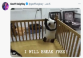 Geoff Keighley O @geoffkeighley · Jun 5 ME I WILL BREAK FREE! GIF