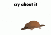 cry about it