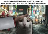 ME PETTING A CAT I FOUND ON THE STREETS OF KAMUROCHO AFTER FIGHTING SOME STREET THUGS (HE'S MY SWORN BROTHER NOW) 館 可僧社証券 OCHO KAMROCHO クス ケ HPACHIN APAC OT SLOTLOT LOVE パチスロ 天 上