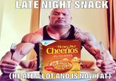 LATE NIGHT SNACK aURA FLDE Honey, Nut Cheerios ls ö CATS DESTER Gluten Fec (HE ATE ALOT AND IS NOW FAT)