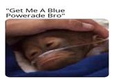 "Get Me A Blue Powerade Bro"