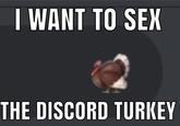 I WANT TO SEX THE DISCORD TURKEY