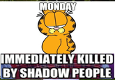 MONDAY IMMEDIATELY KILLED BY SHADOW PEOPLE