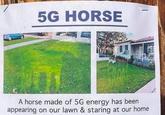 5G HORSE A horse made of 5G energy has been appearing on our lawn & staring at our home