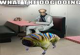 WHAT THE DOG DOING انست