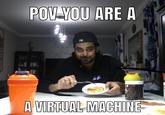 POV-YOU ARE A A VIRTUAL MACHINE
