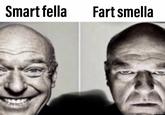 Smart fella Fart smella