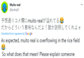 Muito real @pokoji3 予想通りコメ欄にmuito realが溢れてる だからどういう意味なんだよ!誰か説明してくれよォ Translated from Japanese by Google As expected, muito real is overflowing in the rice field So what does that mean! Please explain someone