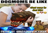DOGMOMS BE LIKE «Dont worry he dont bitew KinoFabino MEME BY DOGDADSONFACEBOK