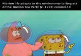 Marine life adapts to the environmental impact of the Boston Tea Party (c. 1773; colorized):