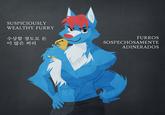 SUSPICIOUSLY WEALTHY FURRY 수상할 정도로 돈 이 많은 퍼리 FURROS SOSPECHOSAMENTE 50000 ADINERADOS