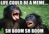LIFE COULD BE A MEME. SH BOOM SH BOOM imgflip.com