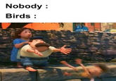 Nobody : Birds :