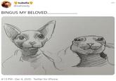 isabella @isahowdy BINGUS MY BELOVED.. 4:13 PM · Dec 4, 2020 · Twitter for iPhone