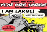 WHAT THE F--- YOU YoU ARE LARGE AND POINTING I AM LARGE! WHAT THE F---? HE IS POINTING