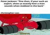 Peter Jackson: "fine then, if your such an expert, show us exactly how a man sounds when stabbed in the back" Christopher Lee: observe.