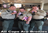 All Cops Are Bronies