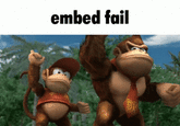 embed fail DR