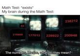 Math Test: *exists* My brain during the Math Test: 238212 02 215600 177013 228922 200948 24 The numbers, Mason, what do they mean? CATCO