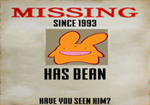 MISSING SINCE 1993 HAS BEAN HAUE YOU SEEN HIM?