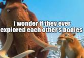 i wonder if they ever explored each other's bodies