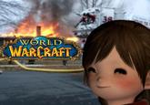 39 WORLD WARCRAFT