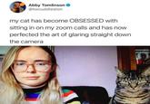 Abby Tomlinson @twcuddleston my cat has become OBSESSED with sitting in on my zoom calls and has now perfected the art of glaring straight down the camera