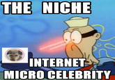 THE NICHE INTERNET MICRO CELEBRITY