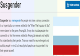 Susgender VIEW SOURCE Susgender is a memegender for people who have a strong connection to or hyperfixation on memes related to the "When The Impostor Is Sus" meme based on the game Among Us. It may also include people who connect to or find the memes related to Among Us relevant and helpful for understanding their gender. This was meant for neurodivergent and autistic people in mind, but neurotypical people can incorporate it into their gender as well.