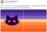 hourly xenogenders e @xenogndrhourly ... #XENOGENDER : Spookycatgender : a gender that feels like a spooky black cat on halloween.