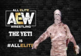 ALL ELITE AEW WRESTLING THE YETI IS #ALLELITE