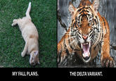MY FALL PLANS. THE DELTA VARIANT.