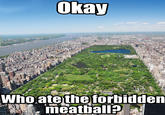 Okay Who ate the forbidden meatball?