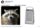 YMS (Adum) @2gay2lift ... my fall plans the delta variant 1:16 AM · Aug 12, 2021 · Twitter for Android