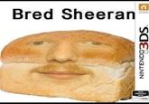 Bred Sheeran ALSO COMPATLE WITH ZDS NINTENDO3DS.