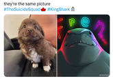 they're the same picture #TheSuicideSquad #KingShark JACKKNICE