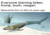 Everyone blaming biden, trump, bush, reagan Meanwhile this mf 400 mil years ago: KAPWING
