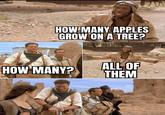 First; Apples HOW MANY APPLES GROW ON A TREE? ALL OF THEM HOW MANY?