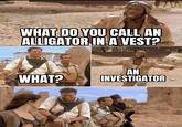 Investigator WHAT DO YOU CALL AN ALLIGATOR IN A VEST? WHAT? AN INVESTIGATOR