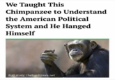 We Taught This Chimpanzee to Understand the American Political System and He Hanged Himself Full story: thehardtimes.net