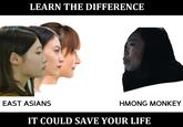 LEARN THE DIFFERENCE EAST ASIANS HMONG MONKEY IT COULD SAVE YOUR LIFE