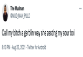 The Mudman ... @MUD_MAN_PILLD Call my bitch a gerblin way she zesting my sour boi 8:13 PM · Aug 23, 2021 · Twitter for Android