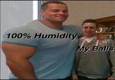 100% Humidity 48 My Balls