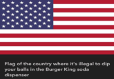 Flag of the country where it's illegal to dip your balls in the Burger King soda dispenser