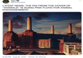 tape O @aninchtofear LATEST NEWS: THE PIG FROM THE COVER OF "ANIMALS" IS SUING PINK FLOYD FOR ANIMAL ENDANGERMENT 8:49 PM · Aug 26, 2021 · Twitter for iPhone