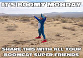 have a very Boomy monday  IT'S BOOMY MONDAY SHARE THIS WITH ALL YOUR BOOMCAT SUPER FRIENDS